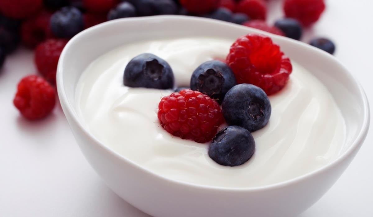 mikroorganisme yogurt